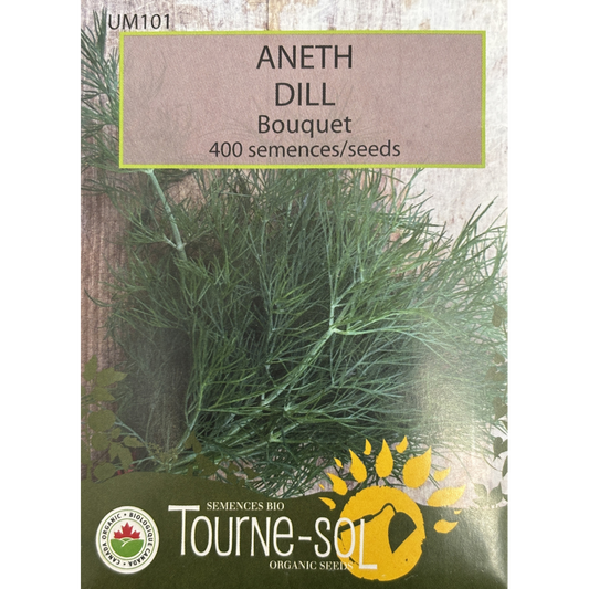 Tourne-Sol Dill Bouquet Pkg.