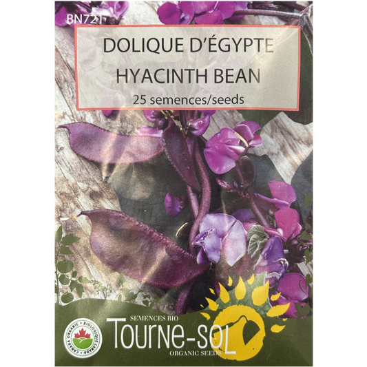 Tourne-Sol Bean Hyacinth Bean Pkg.