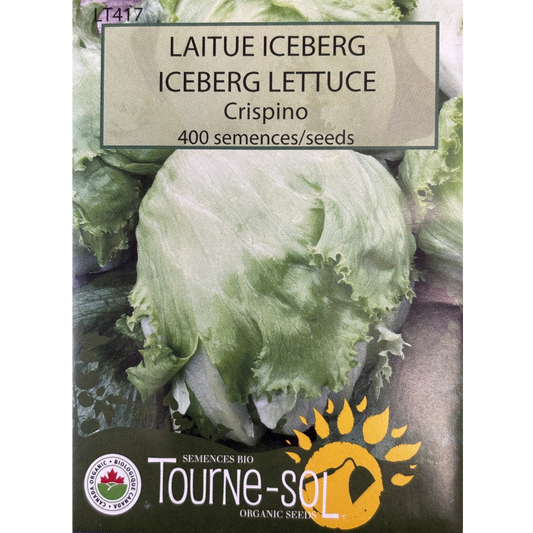 Tourne-Sol Lettuce Crispino Iceberg Pkg.