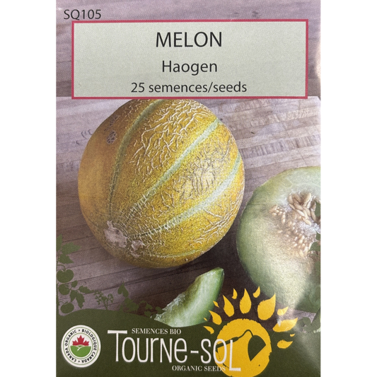 Tourne-Sol Melon Haogen Pkg.