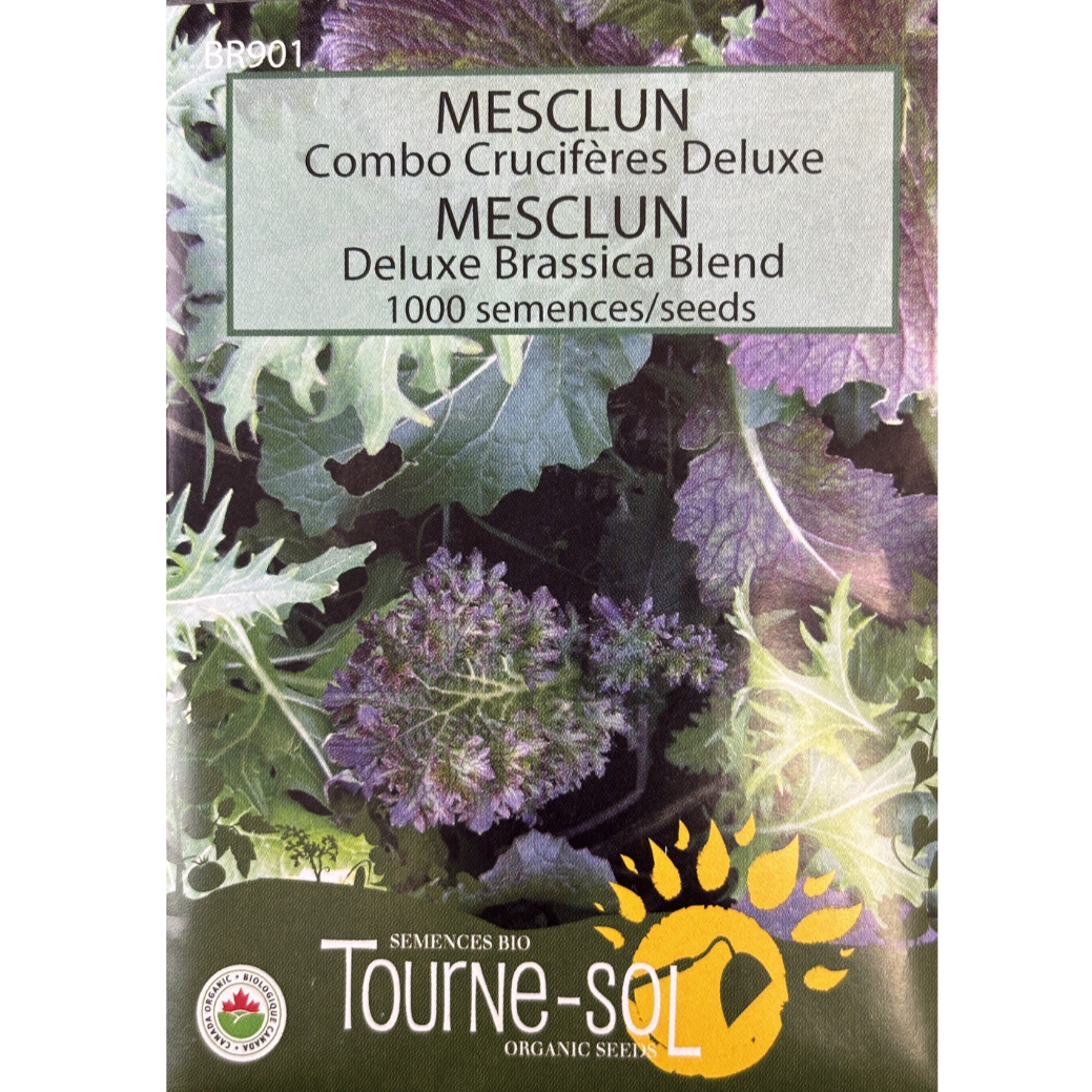 Tourne-Sol Mesclun Deluxe Brassica Blend Pkg.