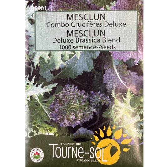 Tourne-Sol Mesclun Deluxe Brassica Blend Pkg.