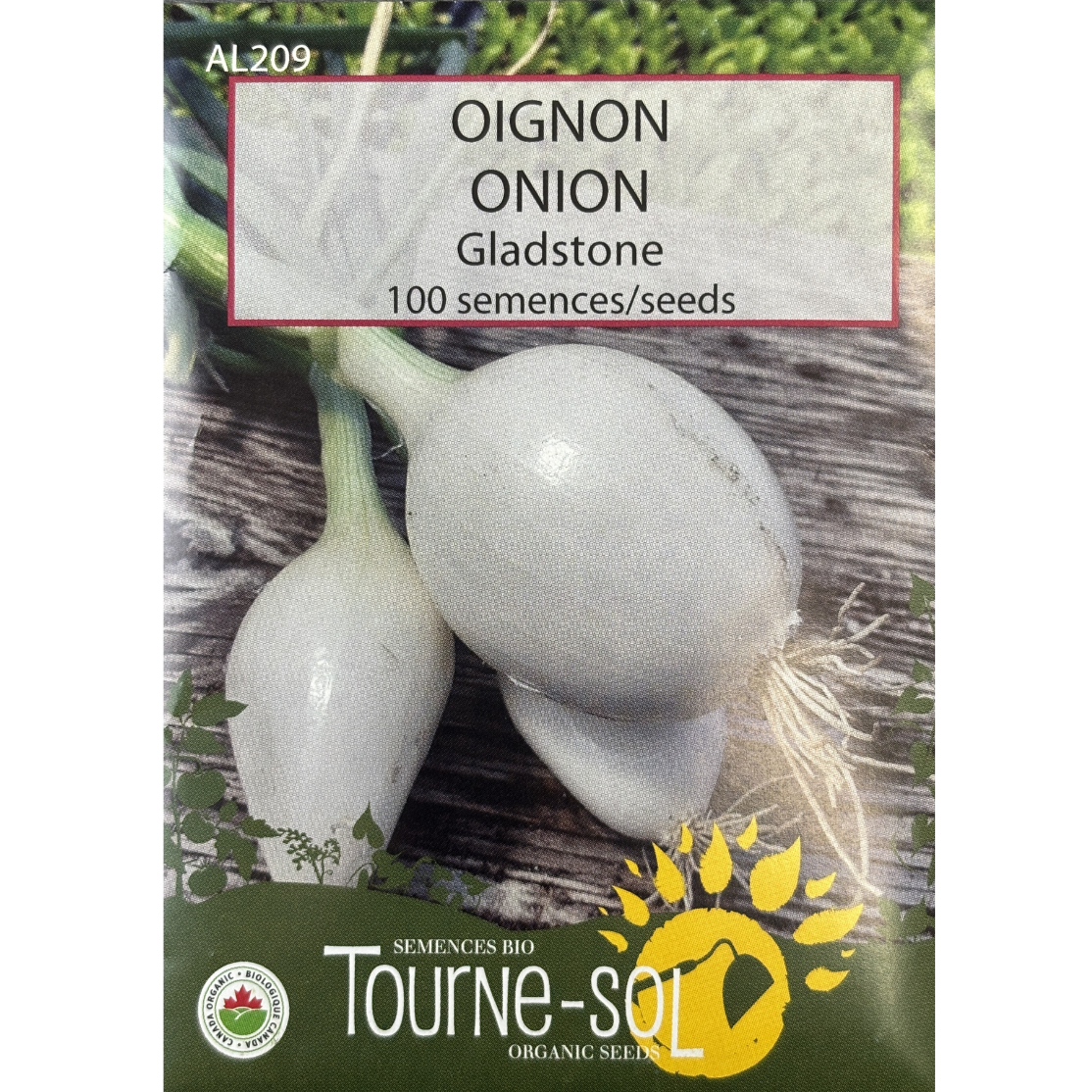 Tourne-Sol Onion Gladstone Pkg.