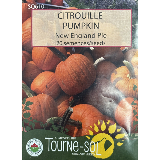 Tourne-Sol Pumpkin New England Pie Pkg.