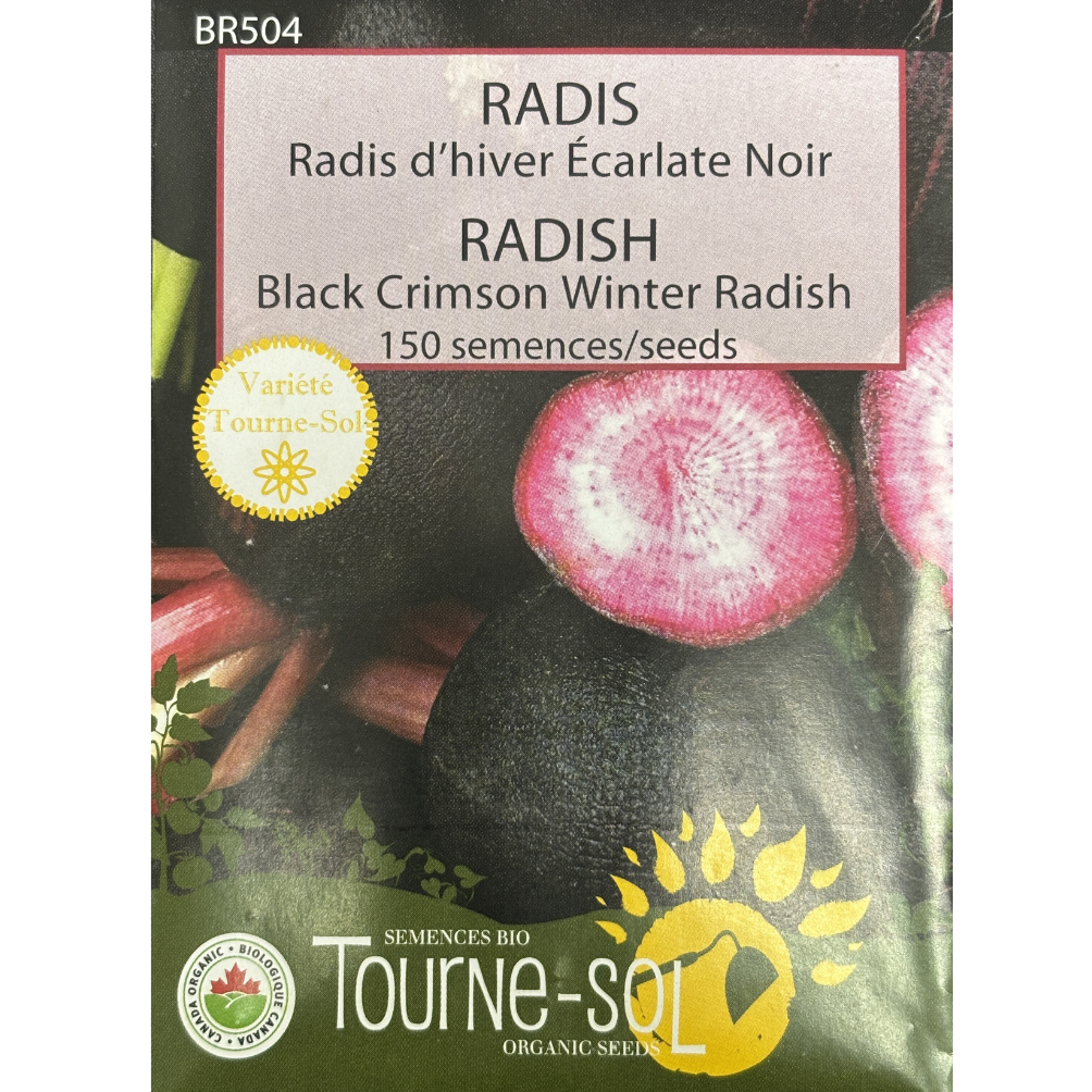 Tourne-Sol Radish Black Crimson Winter Radish Pkg.