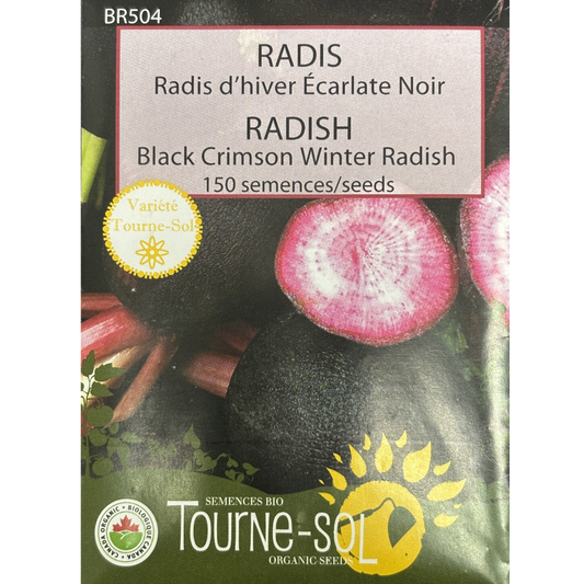 Tourne-Sol Radish Black Crimson Winter Radish Pkg.