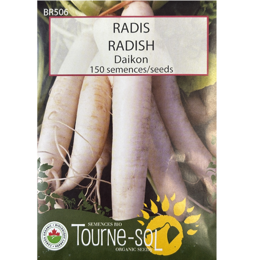 Tourne-Sol Radish Daikon Pkg.
