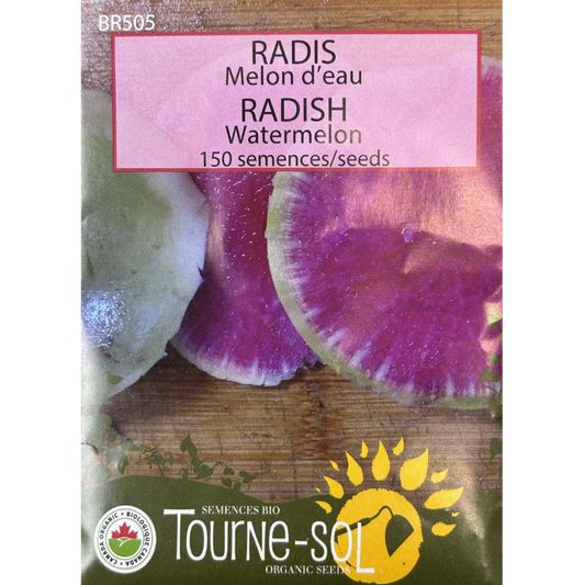 Tourne-Sol Radish Watermelon