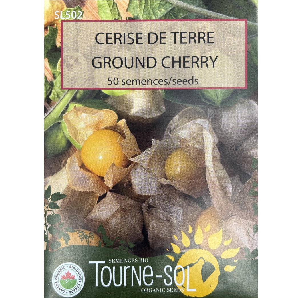 Tourne-Sol Ground Cherry Pkg.