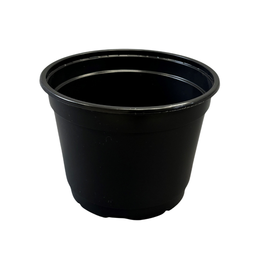 Nursery Pot Standard Black 6"
