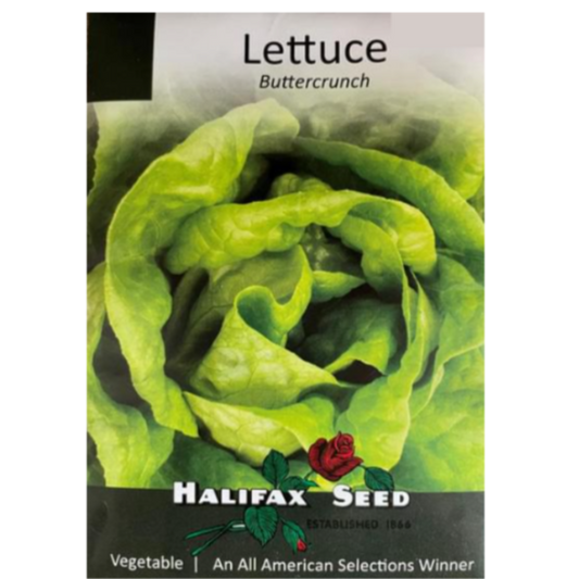 Halifax Seed Lettuce Buttercrunch
