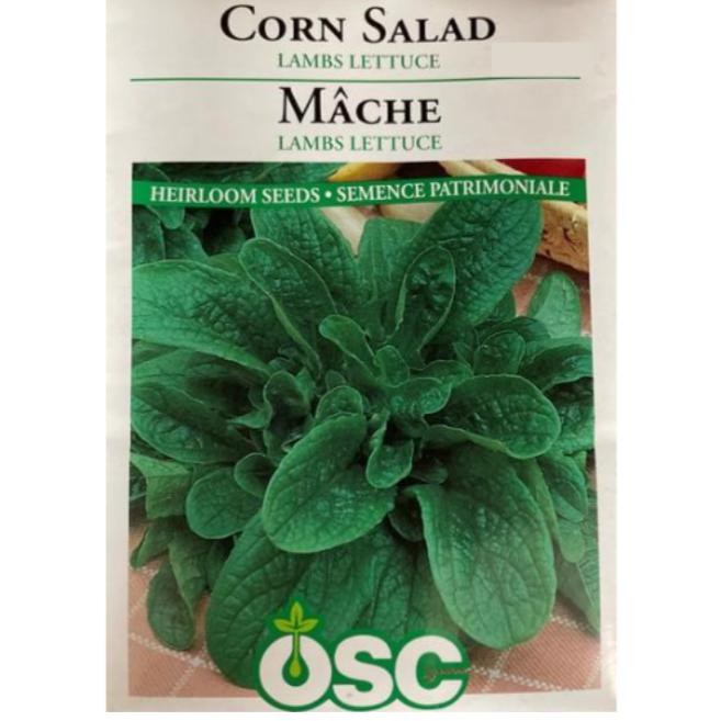 OSC Seeds Lettuce Corn Salad Lambs Pkg