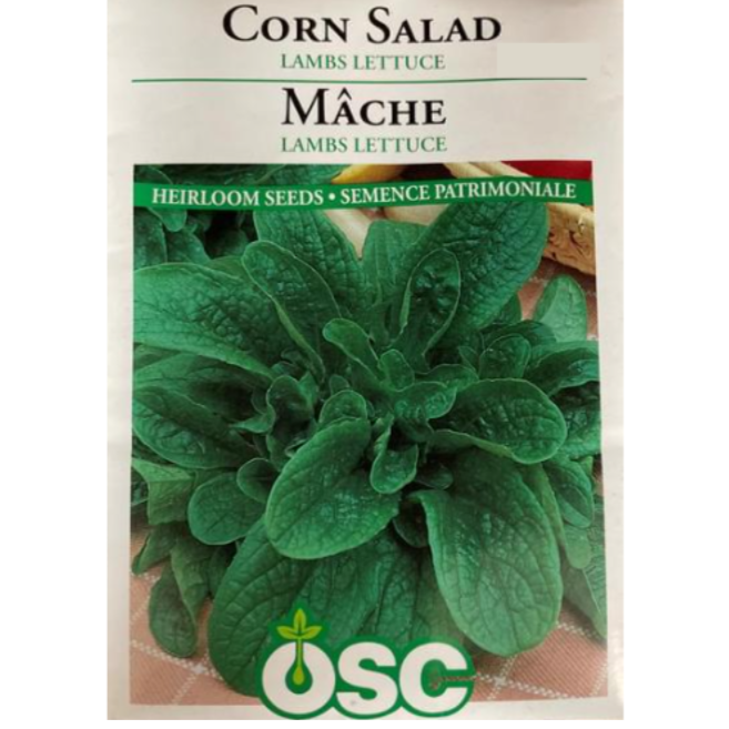 OSC Seeds Corn Salad Lamb's Lettuce Pkg.