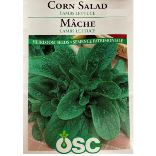 OSC Seeds Corn Salad Lamb's Lettuce Pkg.