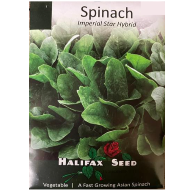 Halifax Seed Spinach Imperial Star Hybrid