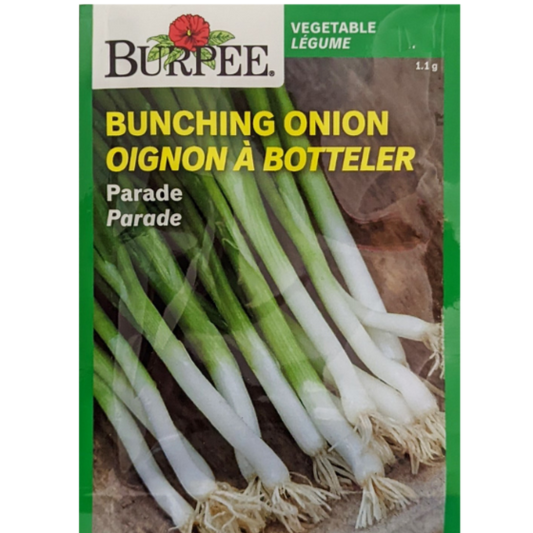 Burpee Seeds Bunching Onion Parade