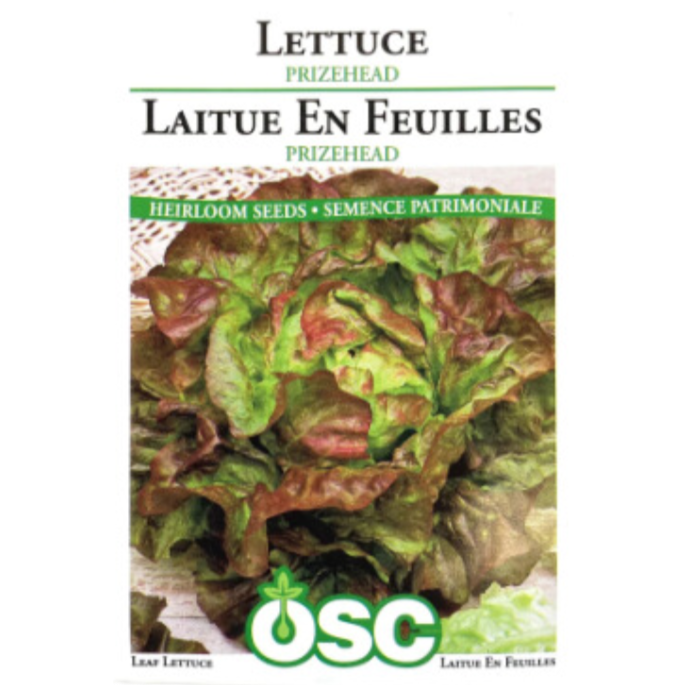 OSC Seeds Lettuce Prizehead