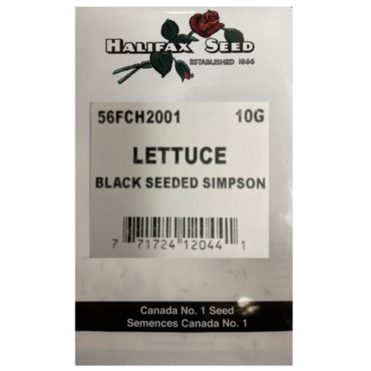 Halifax Seed Bulk Lettuce BIack Seeded Simpson 10g