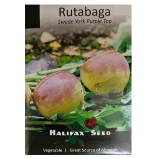 Halifax Seed Rutabaga Swede York Purple Top Pkg.