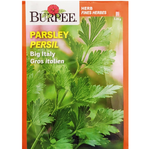 Burpee Seeds Parsley Big Italy