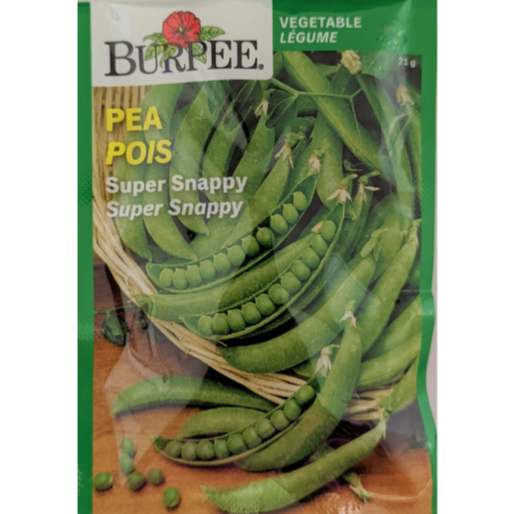 Burpee Seeds Peas Super Snappy
