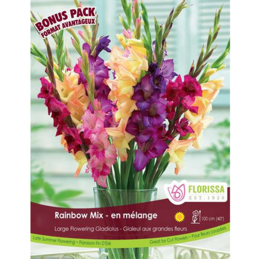 Gladiolus Rainbow Mix 15/pkg