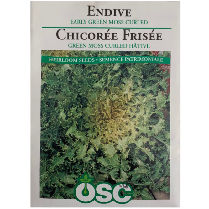 OSC Seeds Endive Early Green Moss Curled Pkg