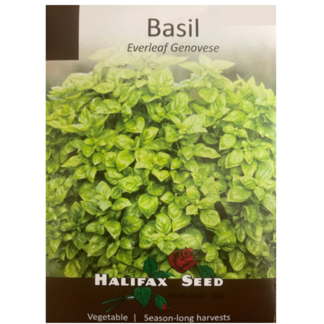 Halifax Seed Basil Everleaf Genovese