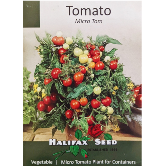 Halifax Seed Tomato Micro Tom