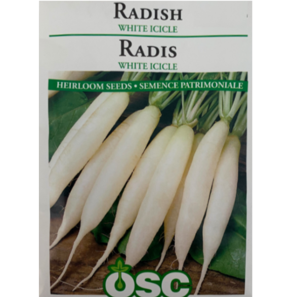 OSC Seeds Radish White Icicle Pkg