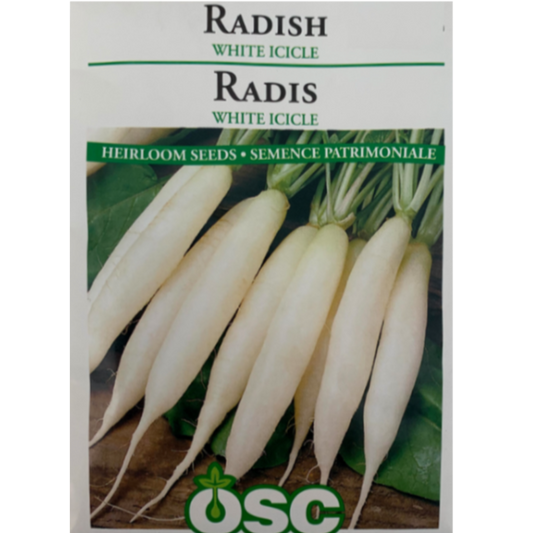 OSC Seeds Radish White Icicle Pkg.