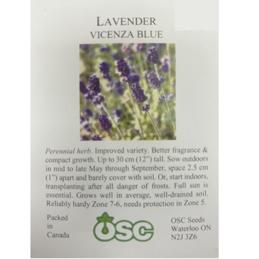 OSC Seeds Lavender Vicenza Blue Pkg