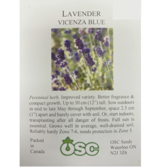 OSC Seeds Lavender Vicenza Blue Pkg