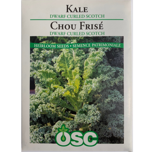 OSC Seeds Kale Dwarf Curled Scotch Pkg