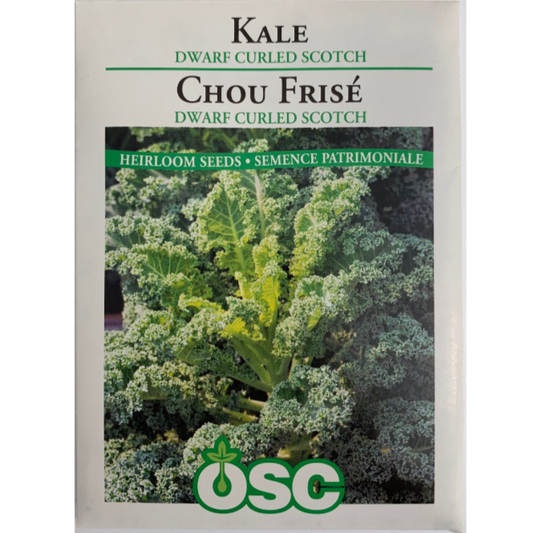 OSC Seeds Kale Dwarf Curled Scotch Pkg.