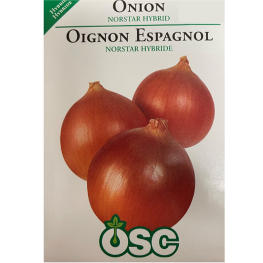 OSC Seeds Onion Norstar Hybrid