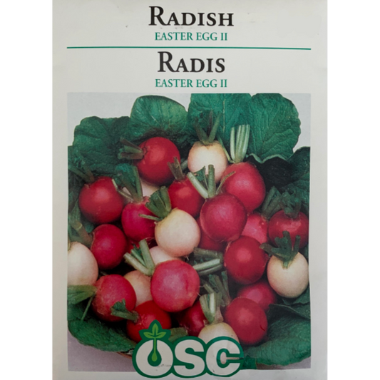OSC Seeds Radish Easter Egg II