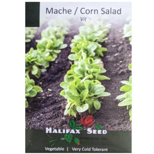Halifax Seed Mache / Corn Salad Vit Pkg.