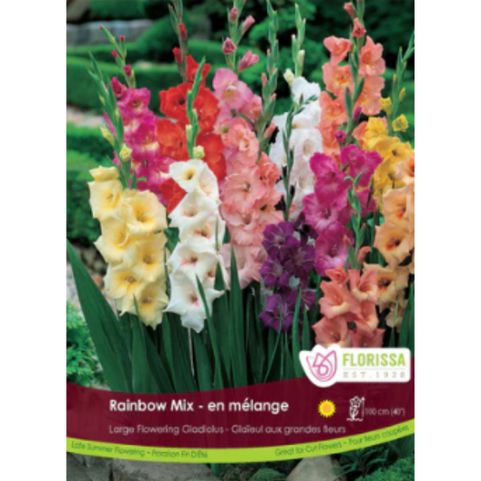 Gladiolus Rainbow Mix 30/Pkg