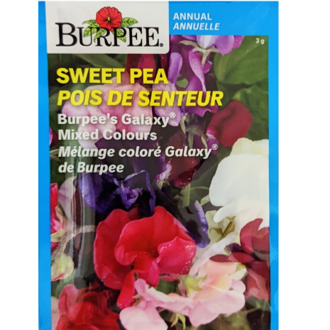 Burpee Seeds Sweet Pea Galaxy Mixed Colours