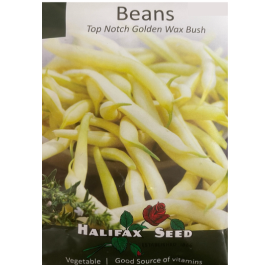 Halifax Seed Bean Top Notch Golden Wax Bush