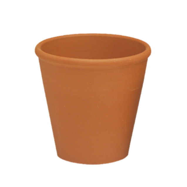 Clay Rose Pot
