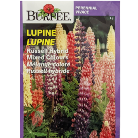 Burpee Seeds Lupine Russell Hybrid Mixed Colours
