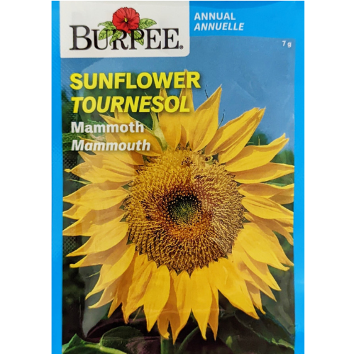 Burpee Seeds Sunflower Mammoth
