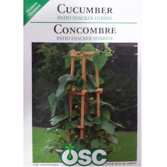 OSC Seeds Cucumber Patio Snacker Hybrid