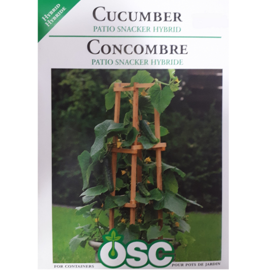 OSC Seeds Cucumber Patio Snacker Hybrid Pkg.