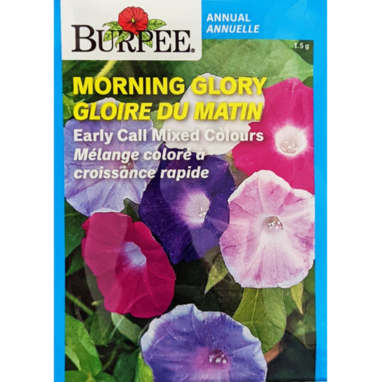Burpee Seeds Morning Glory Early Call Mixed Colours