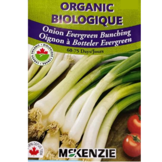 McKenzie Organic Seeds Onion Evergreen Bunching Pkg