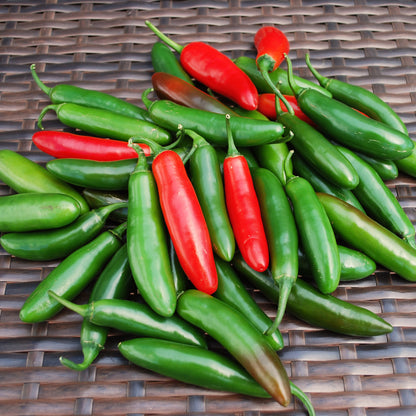 Pepper Hot 'Serrano'