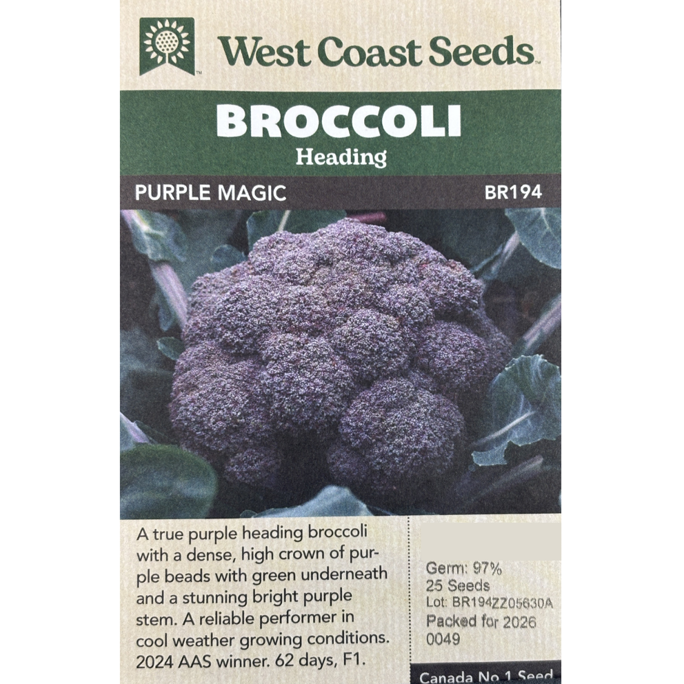 West Coast Broccoli Purple Magic